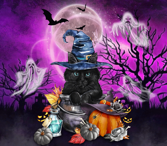 P102 Black Cat Print